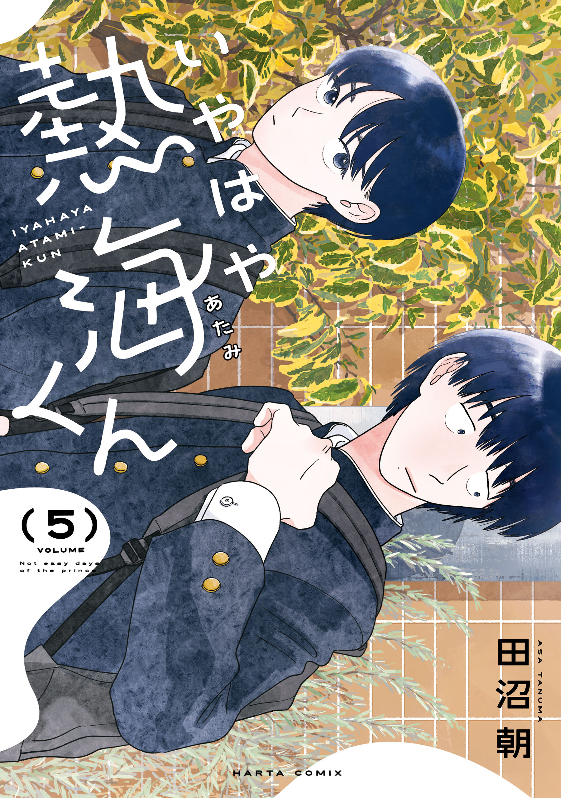 My Oh My, Atami-kun