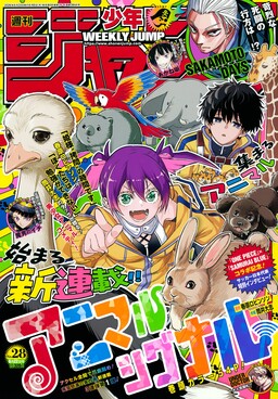 Animal Signal